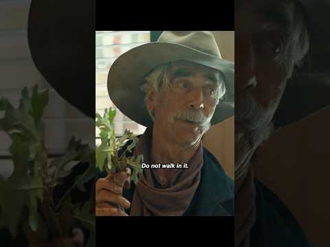 “When did you learn French?” #show #yellowstone