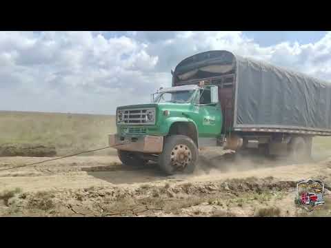 Por la vía a Primavera Vichada 🇨🇴 