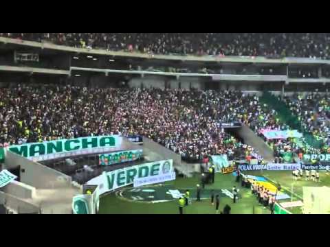 Gol ! Palmeiras 1x0 Botafogo-SP ( Paulistão 2015 )