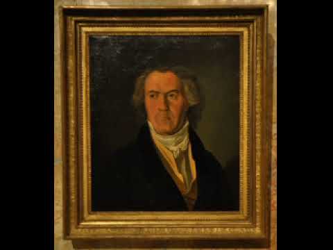 For SYMPHONY ORCHESTRA - Beethoven String Quartet c#-minor op.131