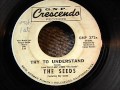 THE SEEDS TRY TO UNDERSTAND G.N.P. CRESENDO RECORD RARE!