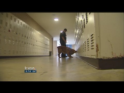 YouTube video about: Can police dogs smell through aluminum foil?