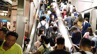 港鐵東鐵綫沙田站特別短途列車轉乘情況