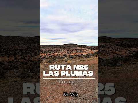 Ruta N25 - Las Plumas en Chubut 🇦🇷 18/12/25 - 4K😉🇦🇷