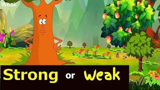 Strong Or Weak  Animated Kids Story In English  Mo