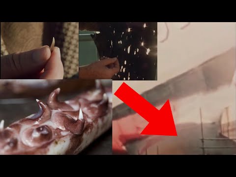 USS Stein: The Ship Attacked by a Monster Squid. Original Documentary Footage