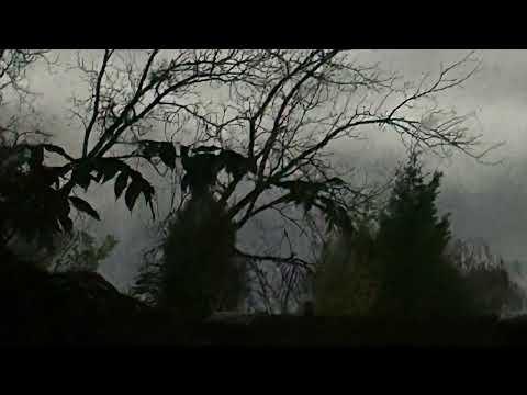 Sanity - Dark Winter