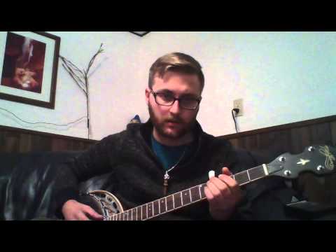 I Can't Stop Drinking About You by Bebe Rexha (Banjo Cover)