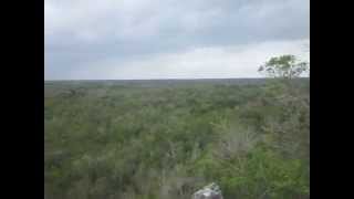 preview picture of video 'Panorama from the top of the Ixmoja pyramid in Coba'