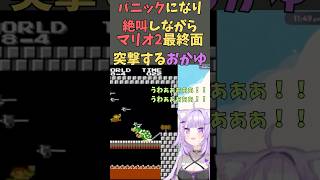 パニックになり絶叫しながらマリオ２最終面をクリアするおかゆ【ホロライブ切り抜き／猫又おかゆ】