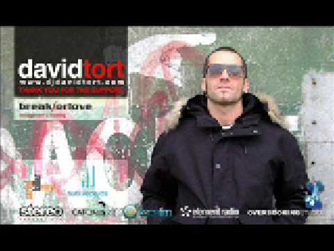 david tort  dj ruff feat sasha lassu - the flow (arbol remix)