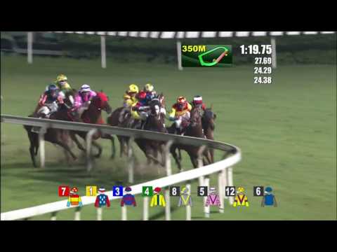 Golden Sleep - Karis Teetan (18 May)