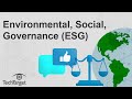 What is Environmental, Social, and Governance (ESG)?