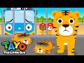 Protect The Baby Tigers Save The Animals Tayo Animal Rescue Team Tayo The Little Bus