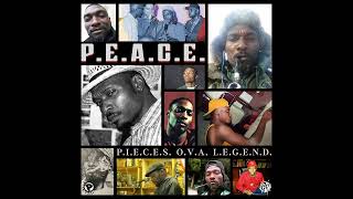 04 Aceyalone ft  P E A C E    Microphones