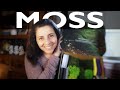 How to use MOSS // Biophilia // Sustainable Design Material