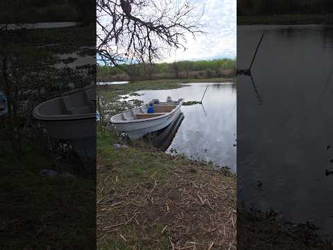 Viajes de Pesca !!!! Catato ! Villa Paranacito...