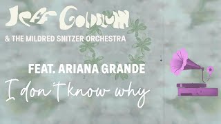 Jeff Goldblum &amp; The Mildred Snitzer Orchestra with @ArianaGrande - I Don&#39;t Know Why (I Just Do)