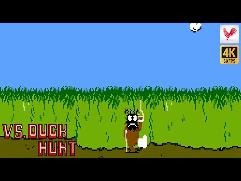 Vs. Duck Hunt | NES [Vs. System] Playthrough | RadRedRooster