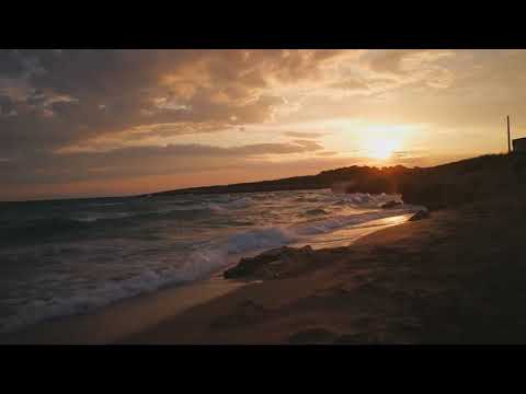 Legend - Tramonto (prod palmy)