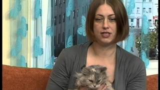 Ранкова кава Катерина Дорош 01.03.2016