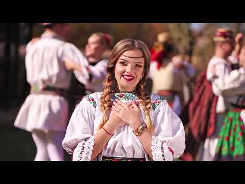 Daria Gâdea - Tinerețe, dulce binecuvântare #dariagadea #tineretedulcebinecuvantare