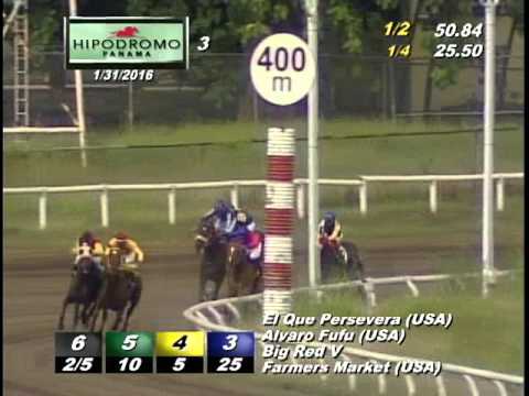 3RA CARRERA DEL DOMINGO 31 DE ENERO DE 2016