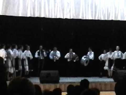 Ansamblul de dans folcloric Doina Crisului Negru a liceului teoretic Nicolae Jiga din Tinca