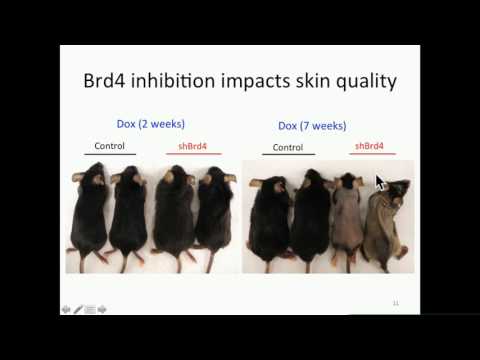 P Premsrirut: RNAi and CRISPR/Cas9 based In VivoModels for Drug Discovery.