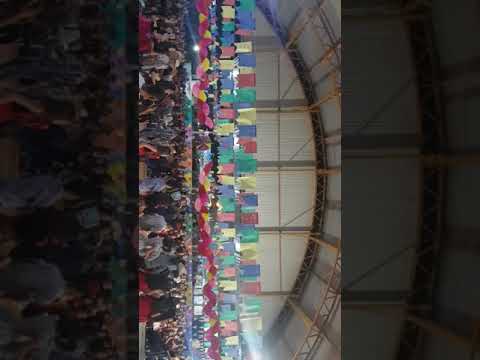 Quadrilha maluca 2019