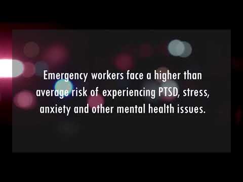 About the Blue Light Symphony Orchestra