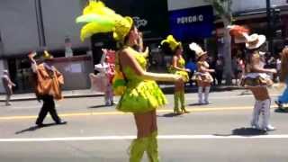 Los Angeles Culture Festival Parade 2013 Carnival Caribbean Style