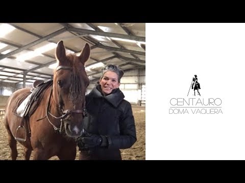 Centauro - Which bit to use for Doma Vaquera