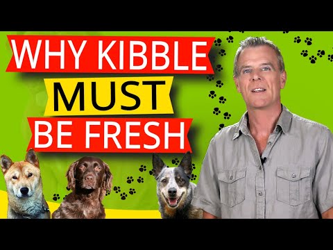 YouTube video about: How long does a 30lb bag of dog food last?