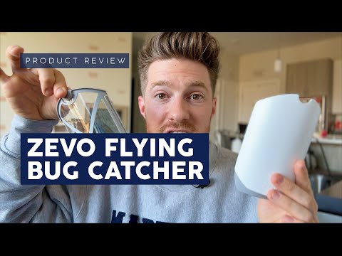 ZEVO Insect Trap Review: Does It Really Work? 🦟✨