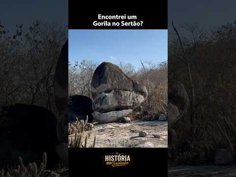 Você conhecia a Pedra do Gorila?📍Bonfim, Km 20, Senador Pompeu-CE.
