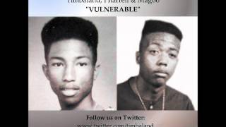 Timbaland, Pharrell &amp; Magoo aka S.B.I. (Surrounded By Idiots) - &quot;Vulnerable&quot;