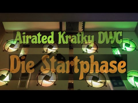 Startphase im DWC
