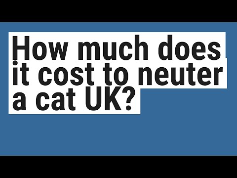 How much does it cost to neuter a cat UK?