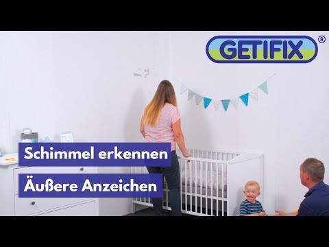 Schimmel erkennen: Äußere Anzeichen | Getifix
