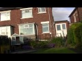 Newcastle Takla Turkish Pigeon