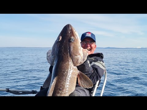 Meeresangeln vor Hitra und Frøya by Torsten Ahrens Trailer neuester Film von Kingfisher Reisen