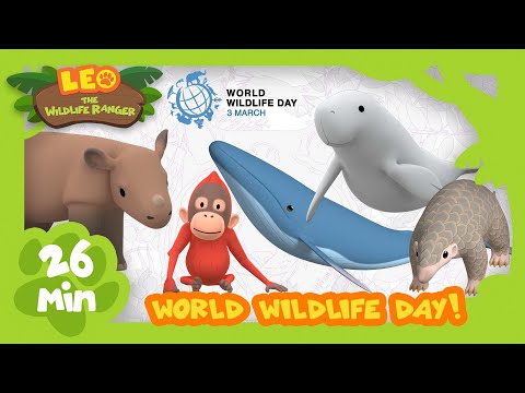 Witness21  2022 03 03