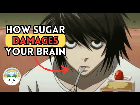When Your Brain is HIGH on Sugar (How It Can Damage Your Brain)