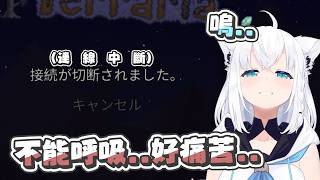 【Terraria】泰拉瑞亞戒斷症｜【 hololive / 白上吹雪】