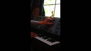 worlds rarest analog mono synth Ampron Aubade 1974 only working model