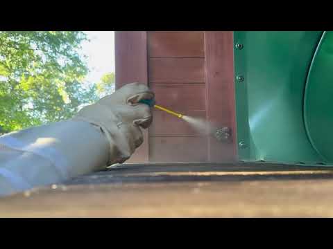 Yellow Jackets Nest on Kids Playset in Freehold, NJ