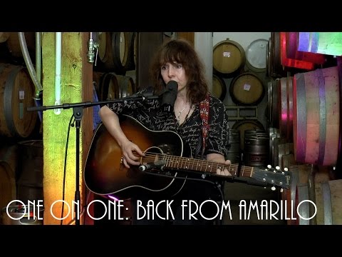 ONE ON ONE: Amy Rigby - Back From Amarillo 2017 May 5th, 2017 City Winery New York