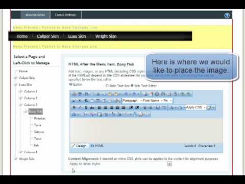 DotNetNuke | DNN | Mega Drop Down Menu and Navigation - Adding Images in PackFlash Mega Menu