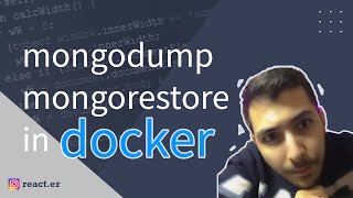 mongodb dump and restore backup data index validation in docker